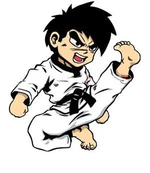 Budokan Karate Club