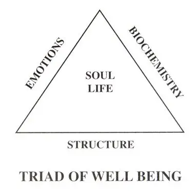 Starfields Holistic Healthcare