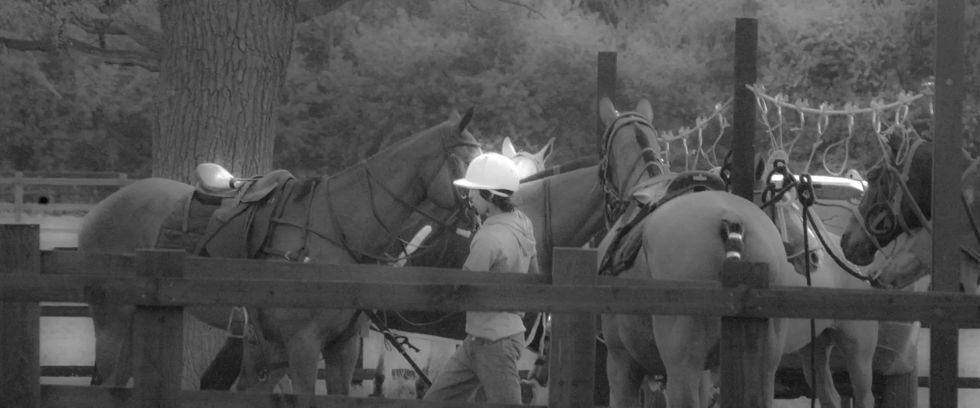 Ranelagh Farm Polo Club