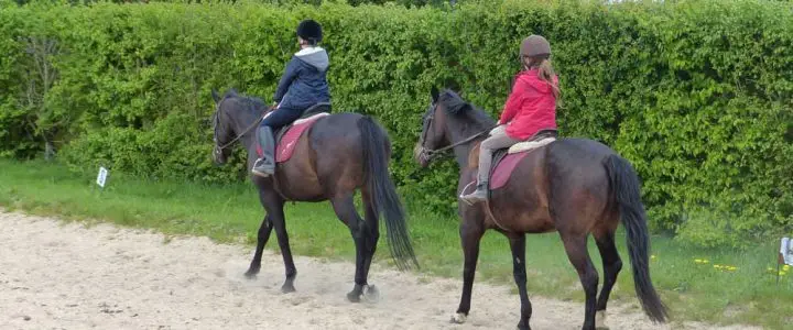 Ecurie Les Grainvilleries. Centre Equestre, Pensions Pour Chevaux