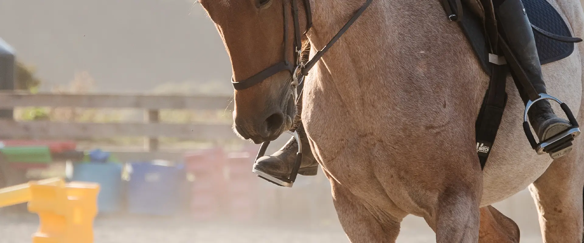 Pony Tales