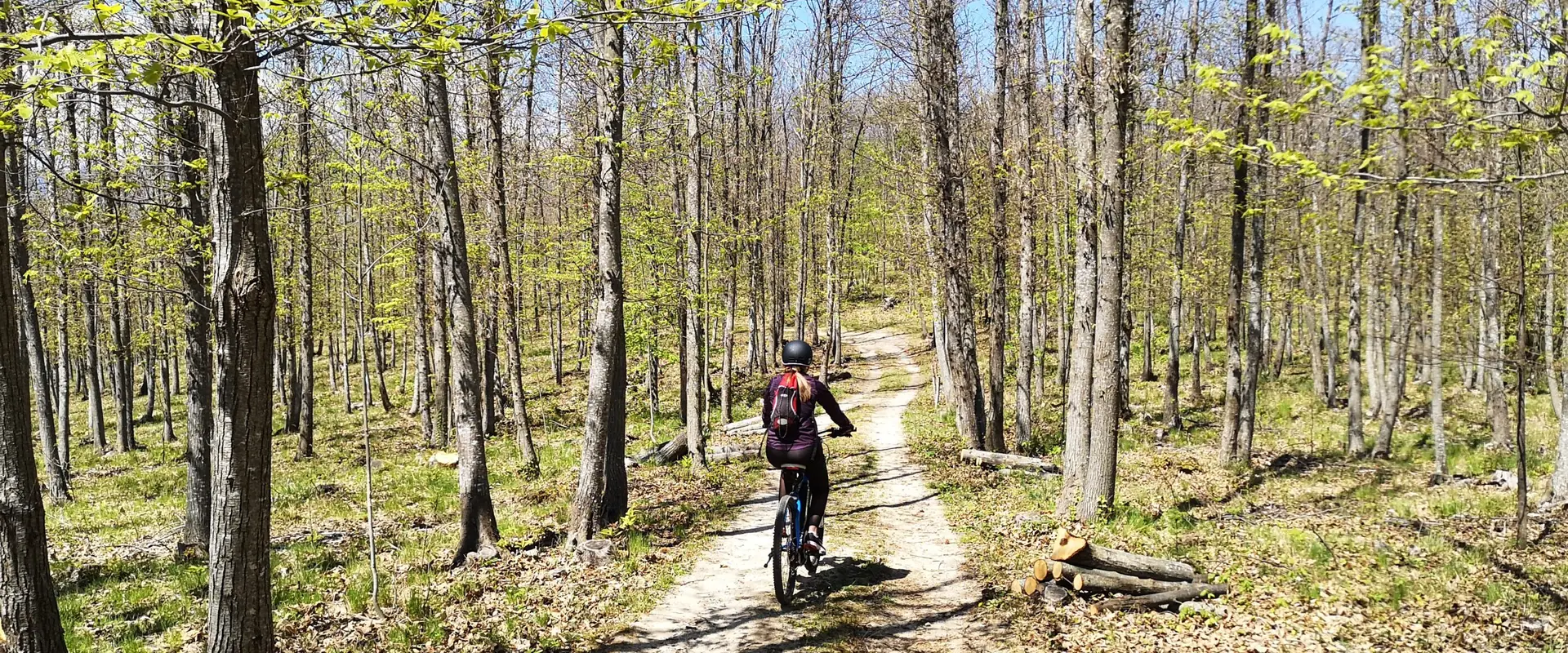 VTT FFC