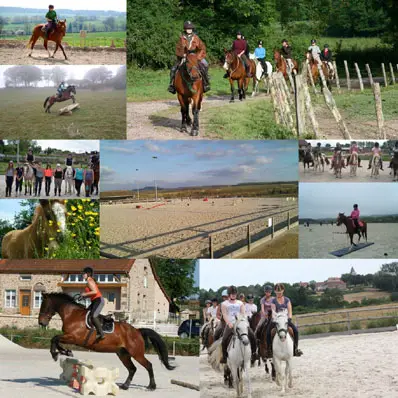 ECOLE D EQUITATION LA BERGERIE