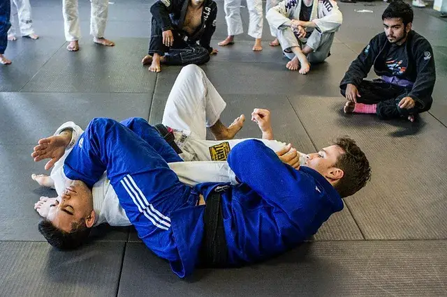 Csd Lutte / Icon Bjj