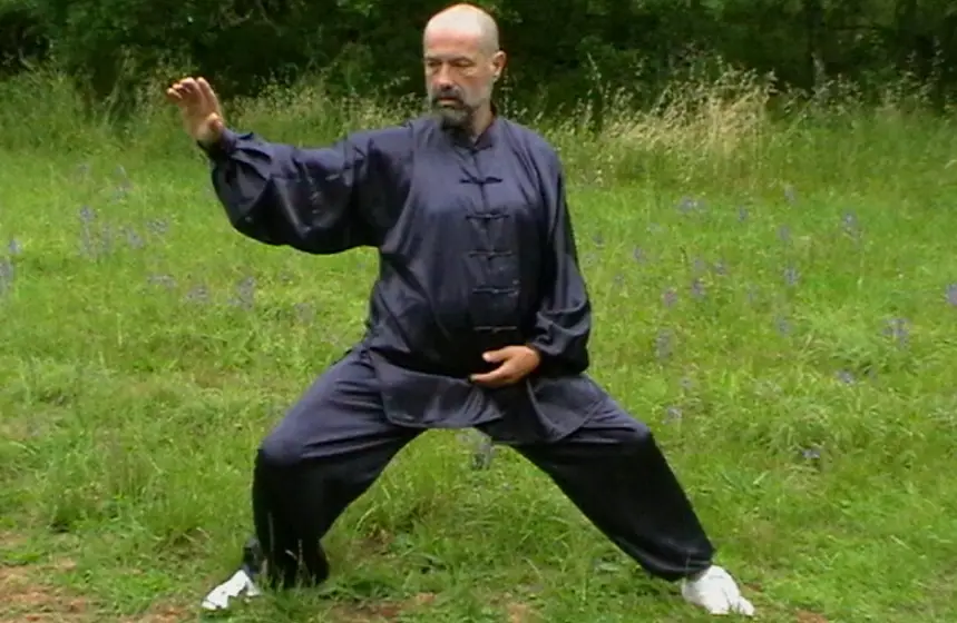 Chenjiagou Taiji Vosges