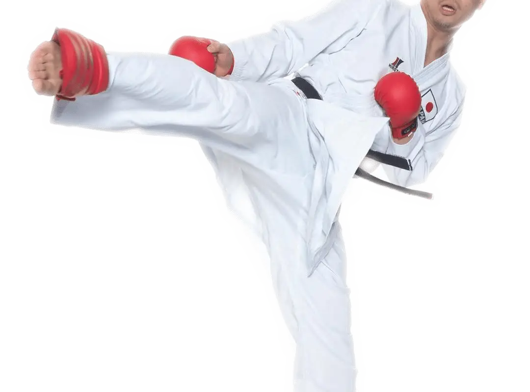 Shoshin Karate Centres