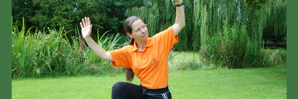 Qigong, Tai Chi and Martial Arts instructor