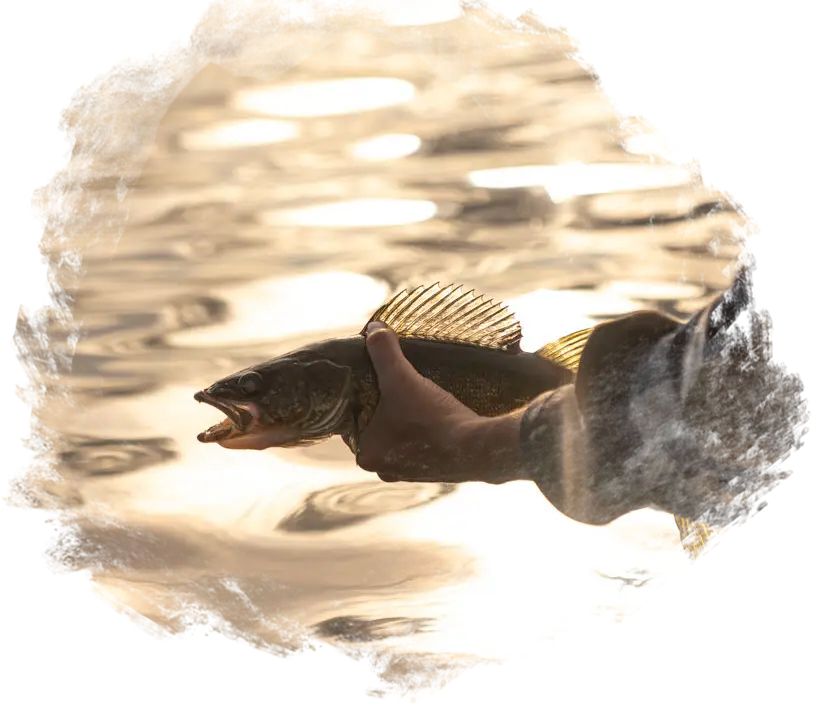 Rufus Lake Outfitters