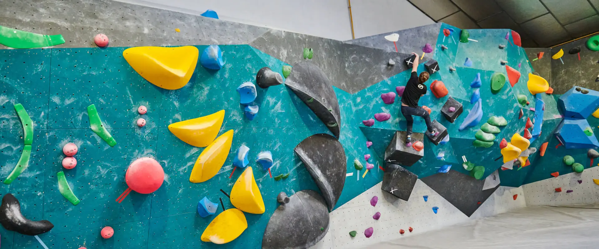 El Cap Salle D'escalade -