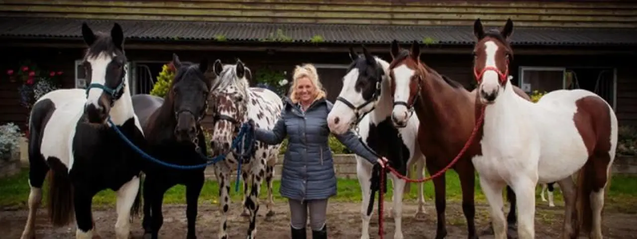 EJC Equine