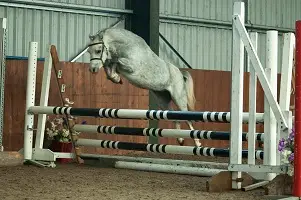 Scholland Equestrian