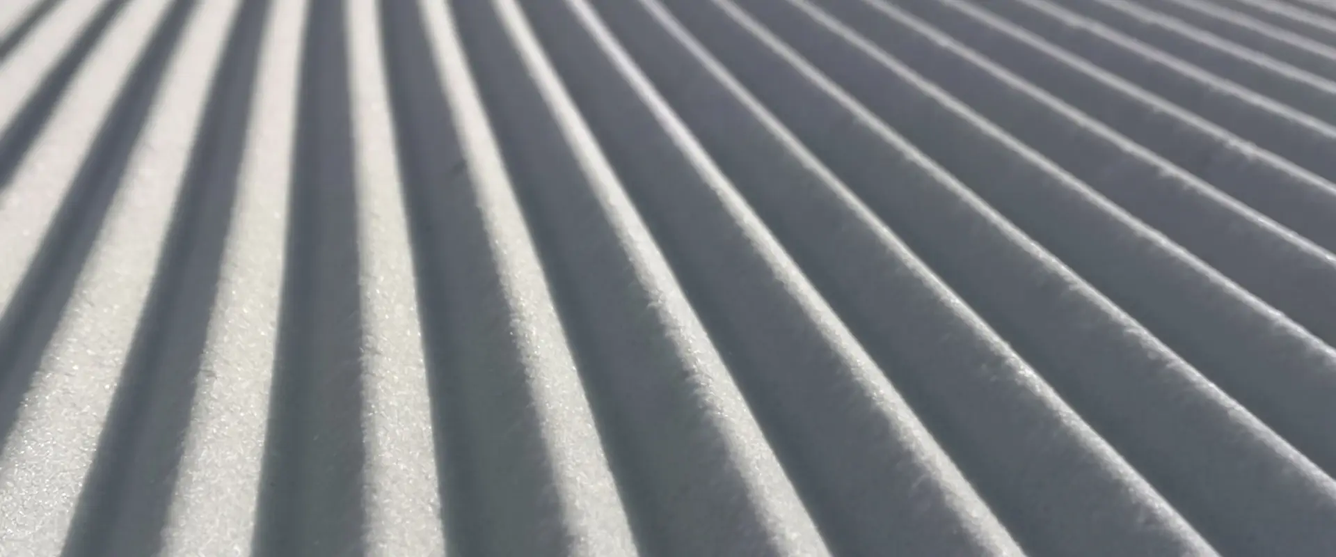 The Snow Institute