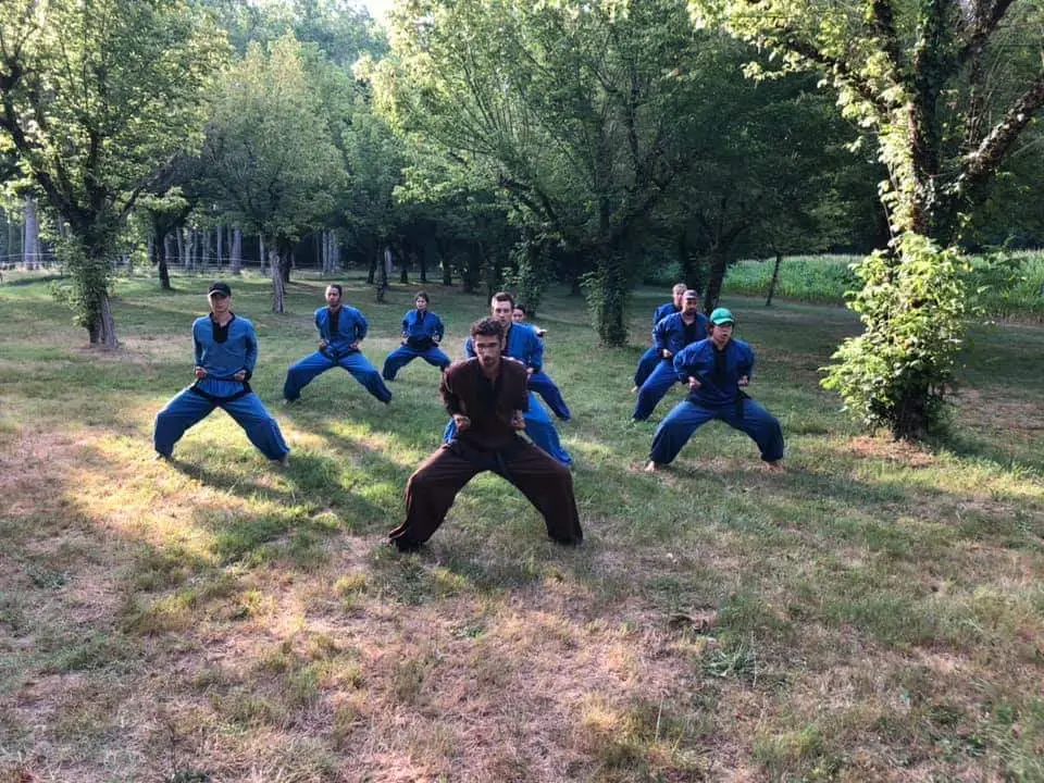 Vo Vietnam Lyon - Martial Arts Vietnamiens