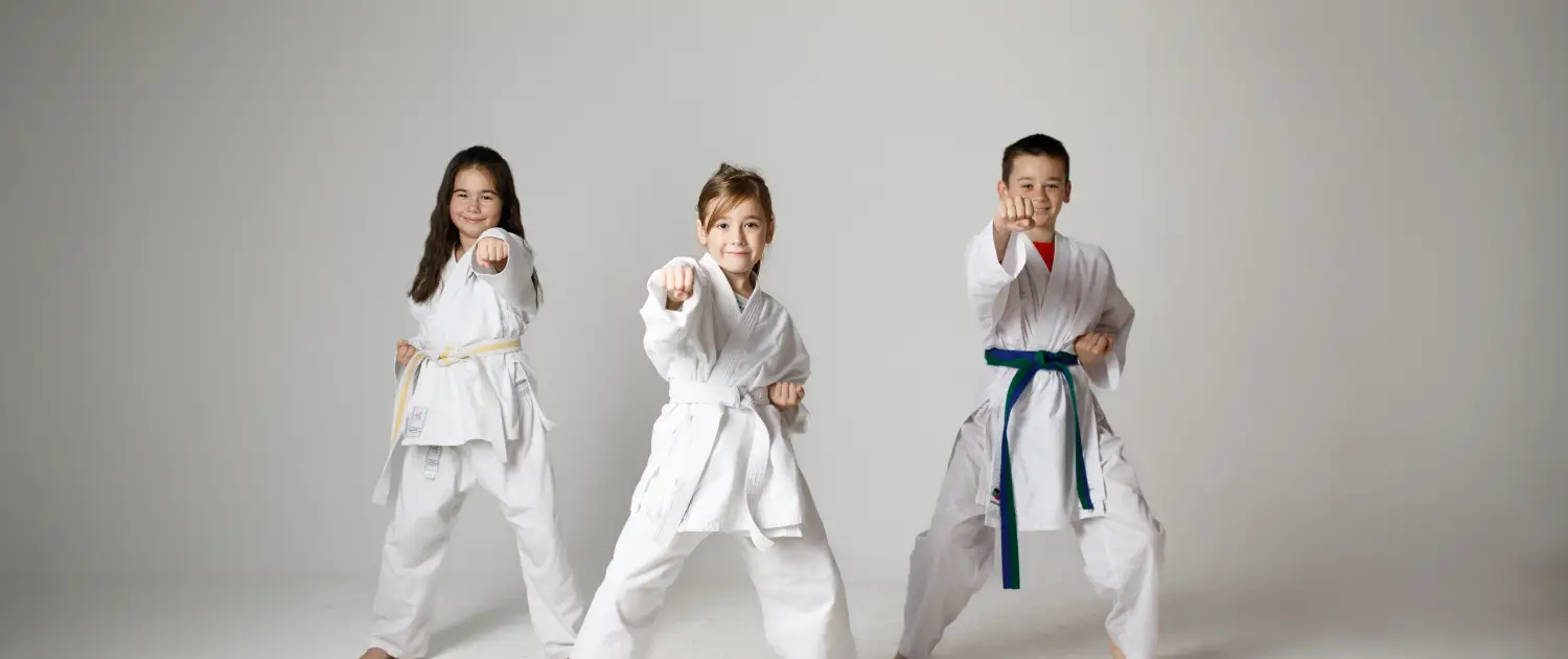 Volk Martial Arts