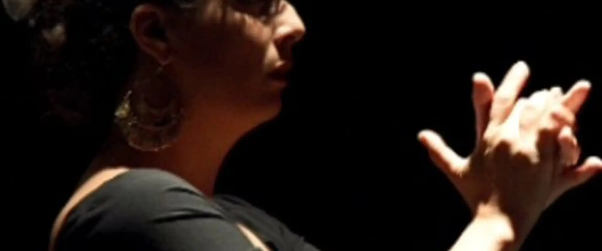 Dance Flamenco Avignon