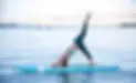 Flying Lizard Yoga