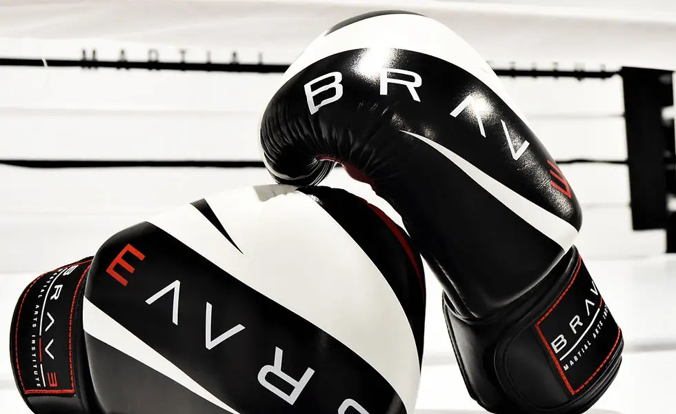 Brave Martial Arts Institute Inc.