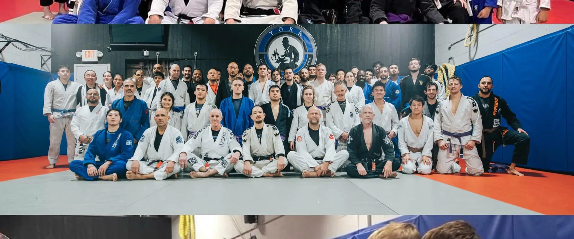 York Judo & BJJ