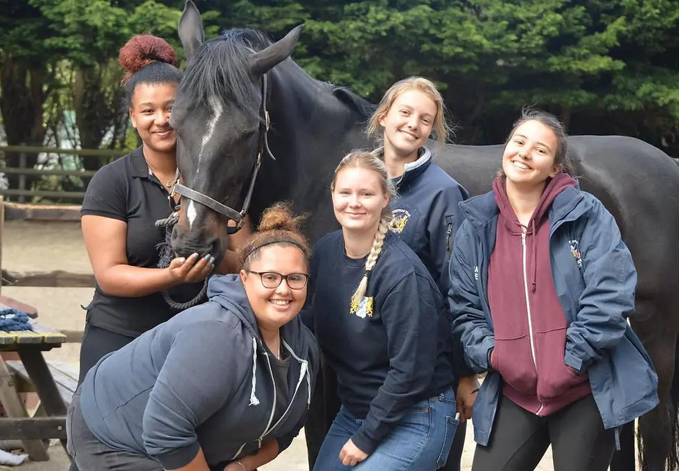 Dulwich Riding School
