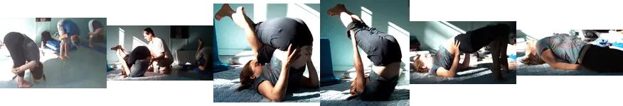 Le Lotus-Centre de Yoga