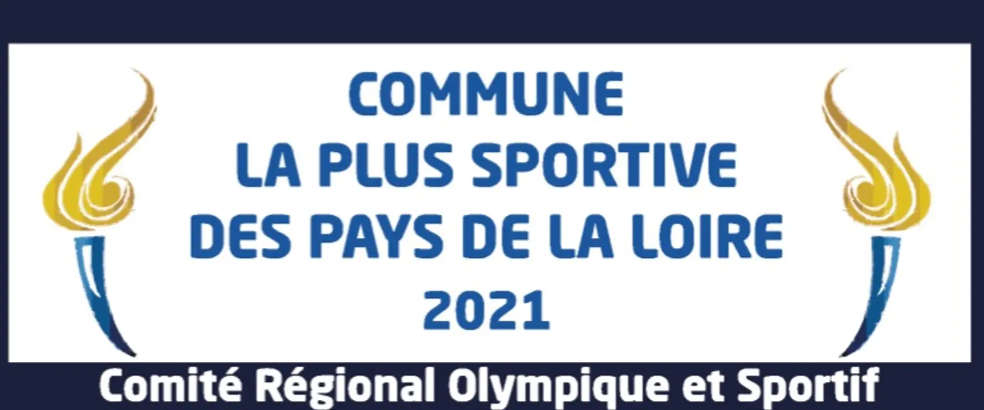 Vsf Gymnastique