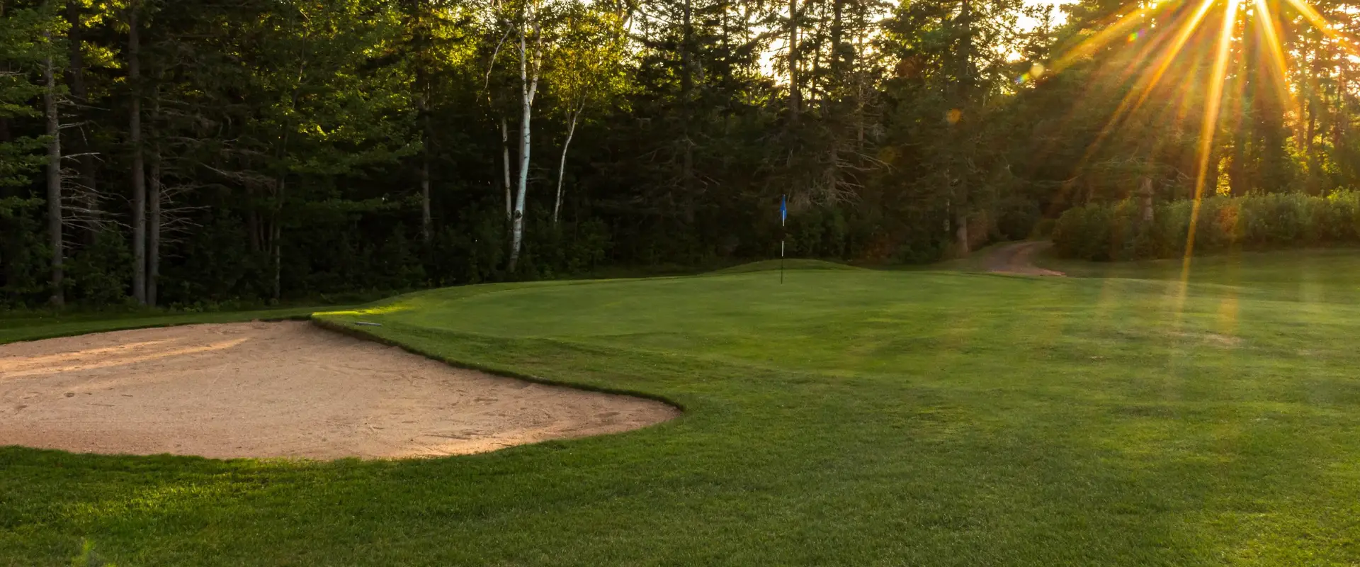 Forest Hills Disc & Golf Course