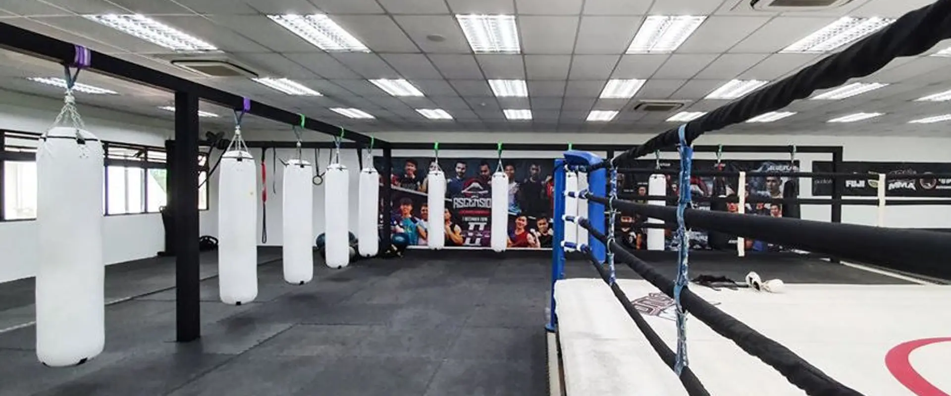 Onyx MMA