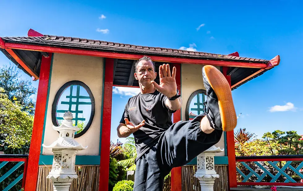 Vale Dragon Tai Chi