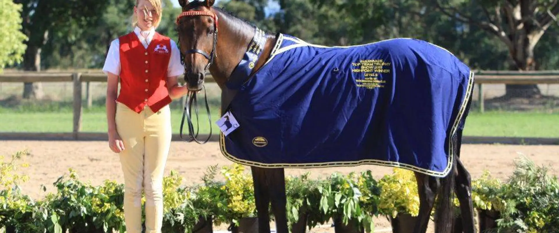 Ellamber Park Equestrian