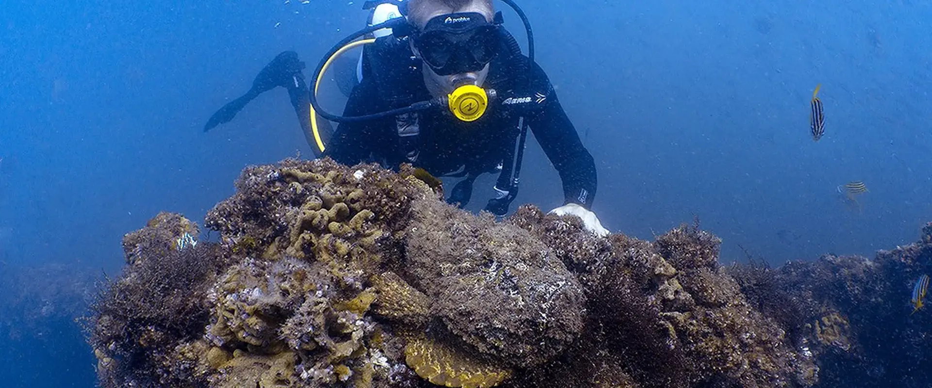 Seaway Dive Site