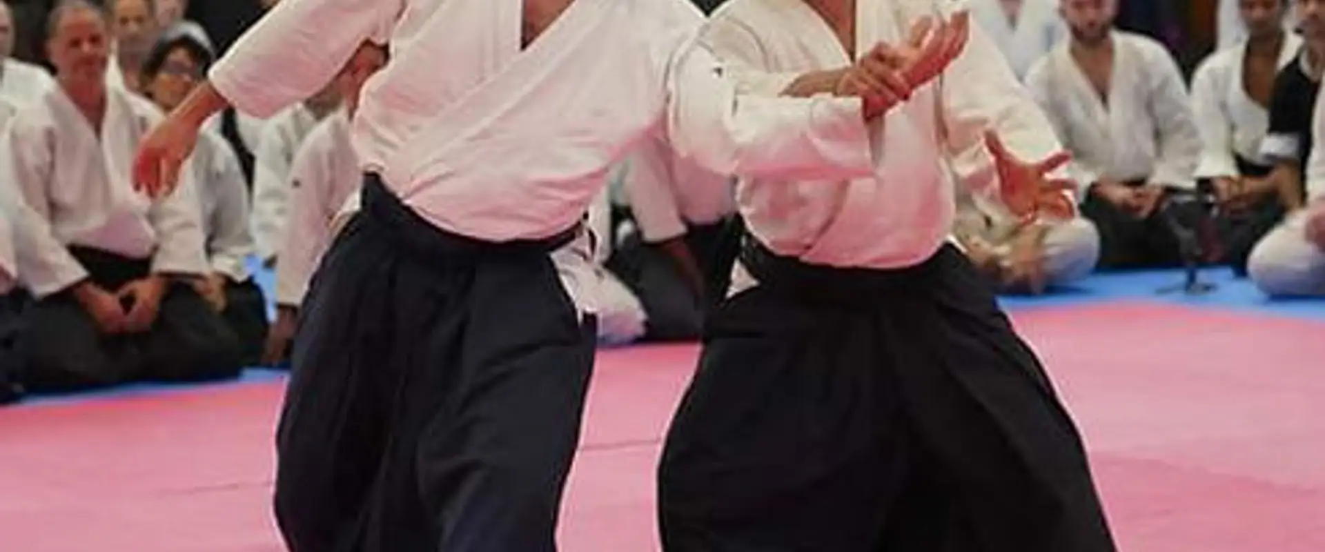 Aïkido Sud / Aikido Club De Vence / Aikido Club De Cagnes Sur Mer