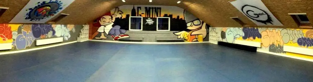 G mini Dance team