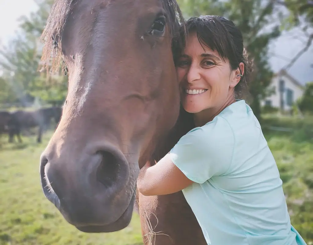 Moment Riding And Équicoaching
