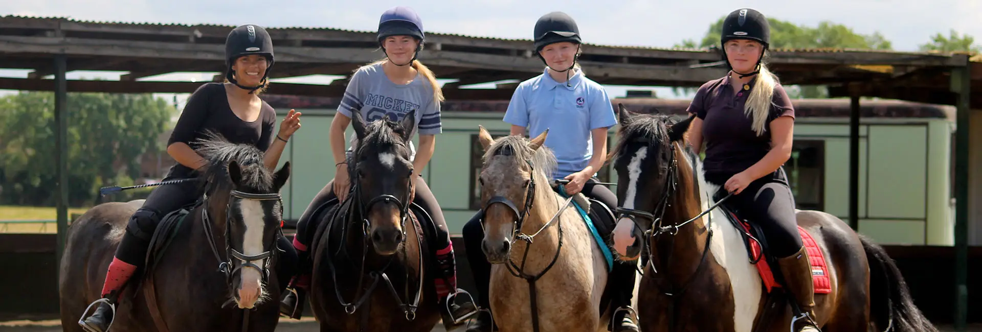 St Leonard's Riding School and Livery Yard
