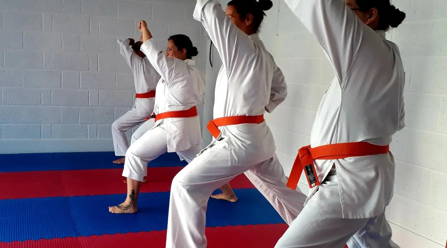 Okinawa Shotokan Karate Academy - Bexleyheath