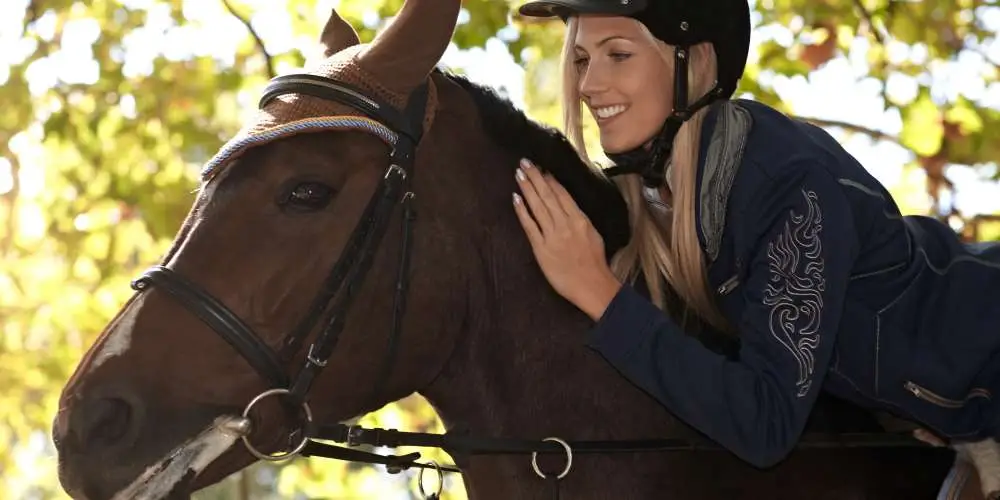 Bold Try Riding Stables