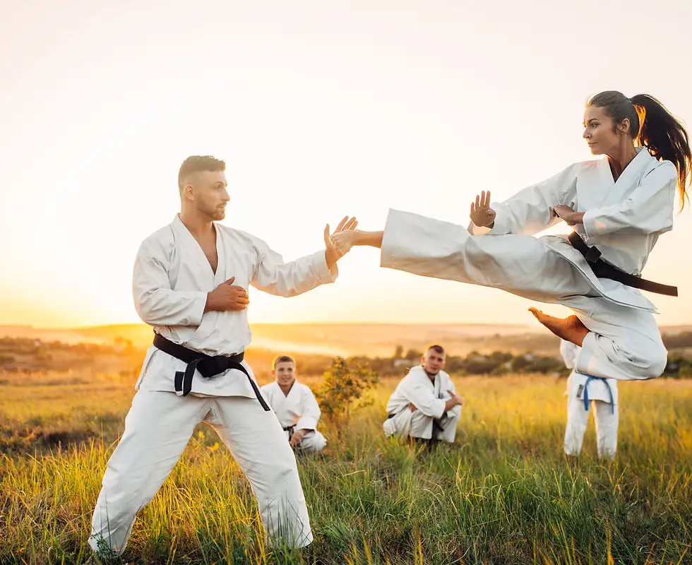 Asl Karate Do