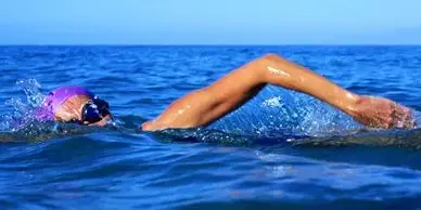 Aqua Seals Swimming Lessons