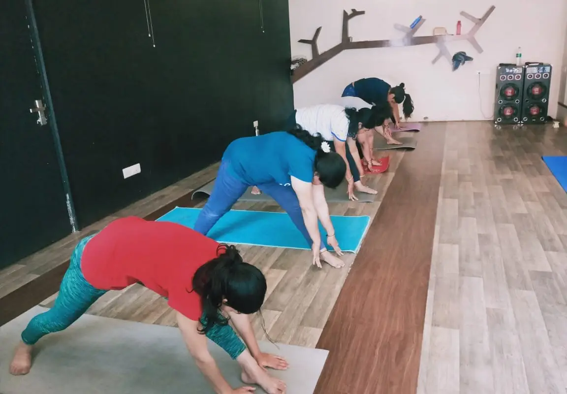 Adiyoga studio