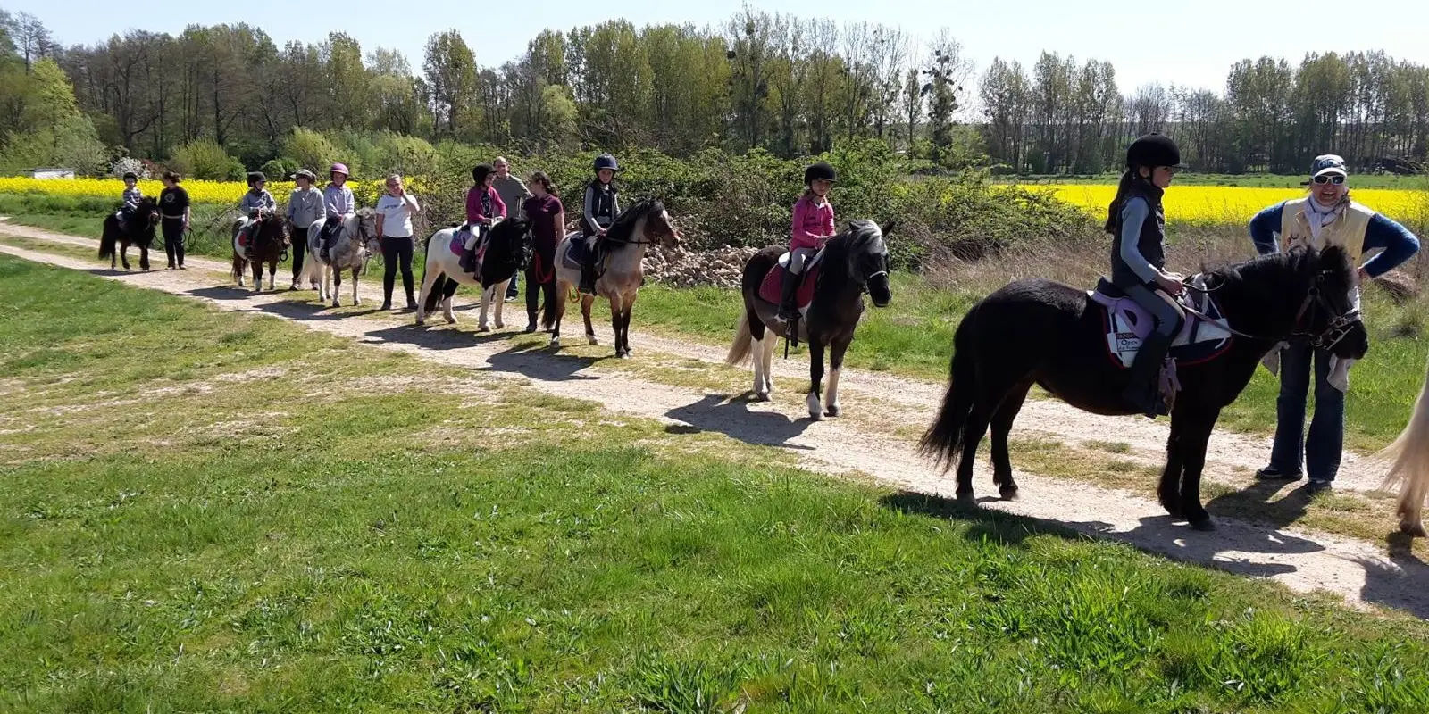 Poney-Club des Crins Fleuris