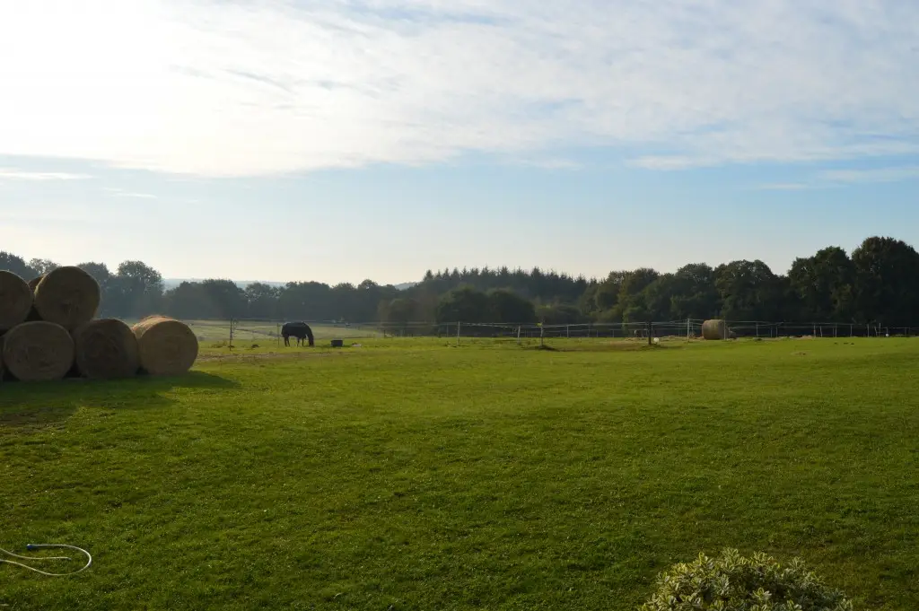 Domaine De Kerolivier - Club Ffe