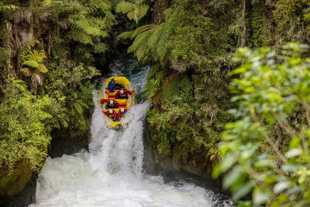 Kaitiaki Adventures