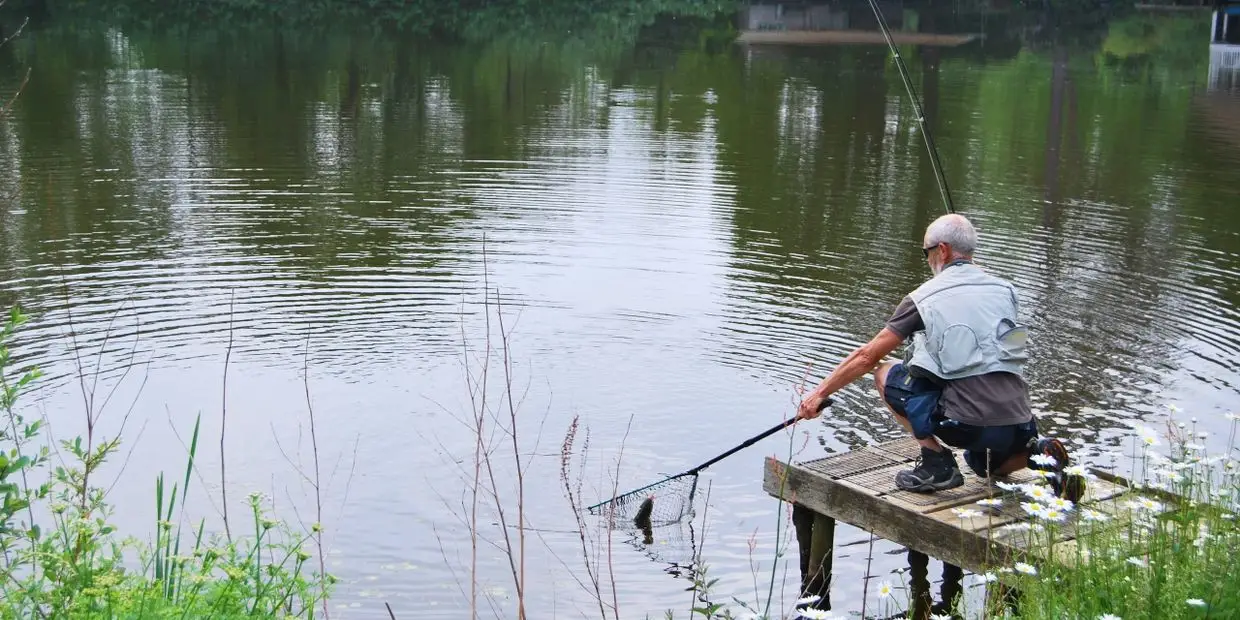 Ashdown Forest Fly Fishery