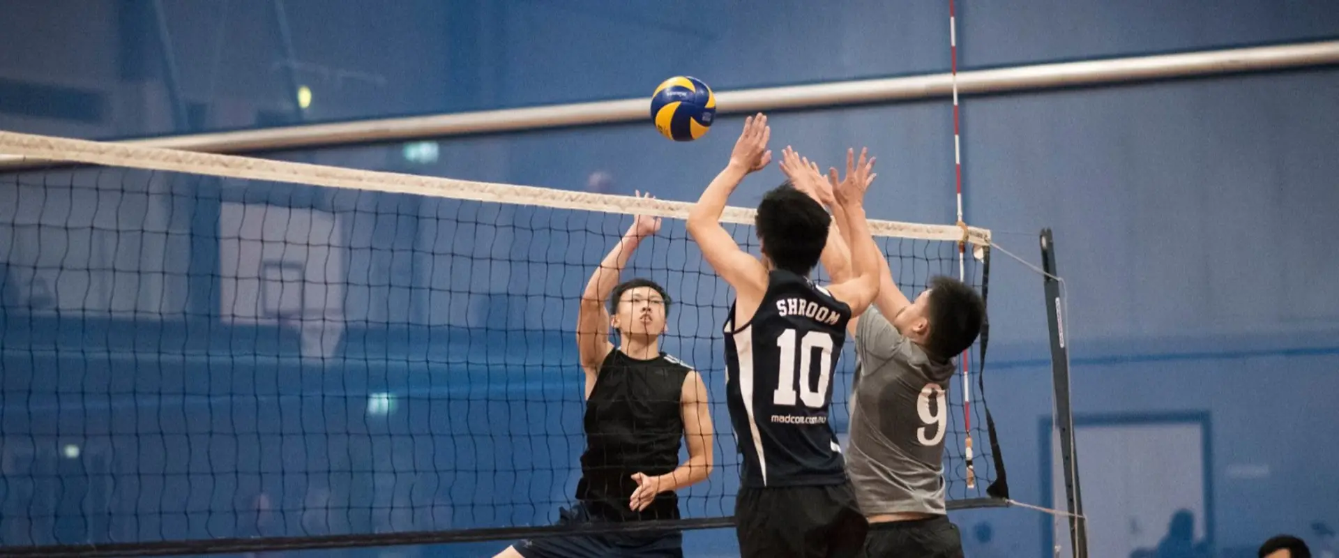 Sydney Social Volleyball