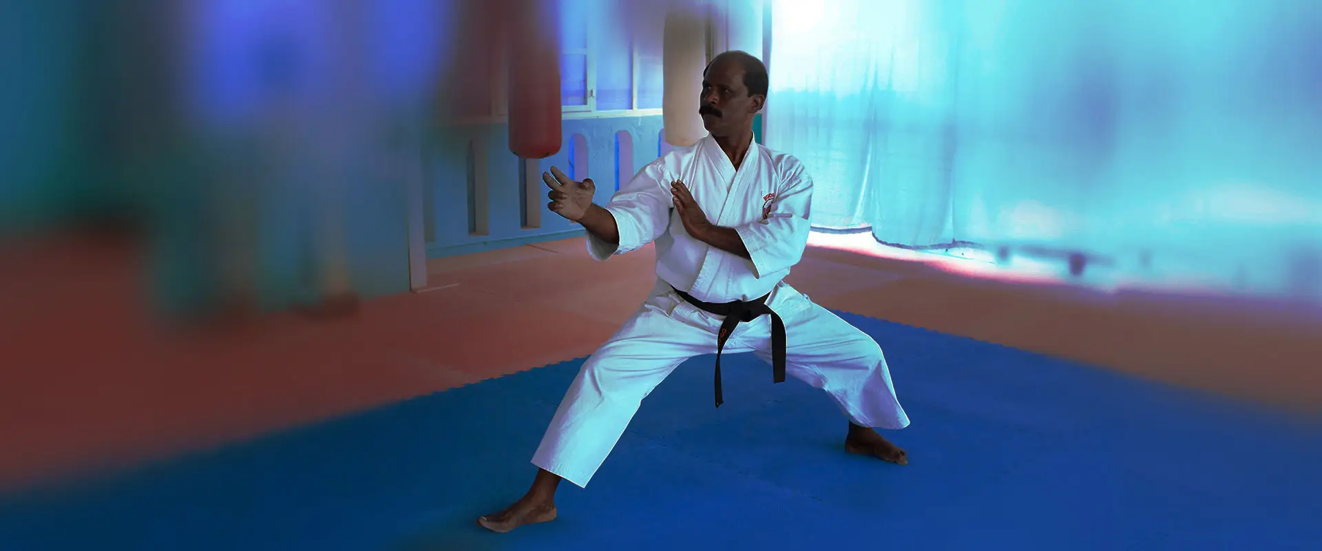 Okinawa Gojukan Karate-Do Training School