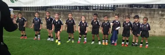 Redfern All Blacks 