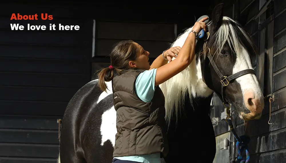 Hall Farm Stables