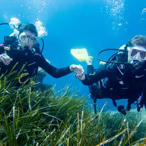 Diving Castile Calvi
