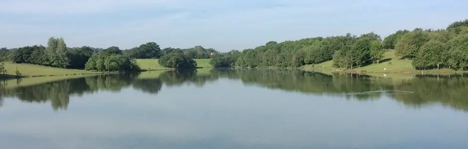 Meadowlands Fishery