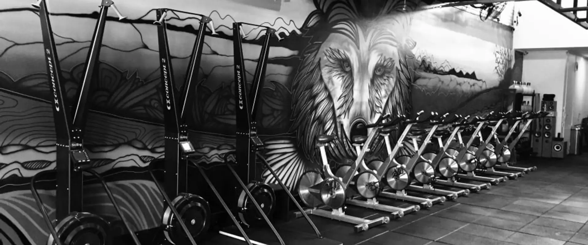 Black Wolf Training Centre